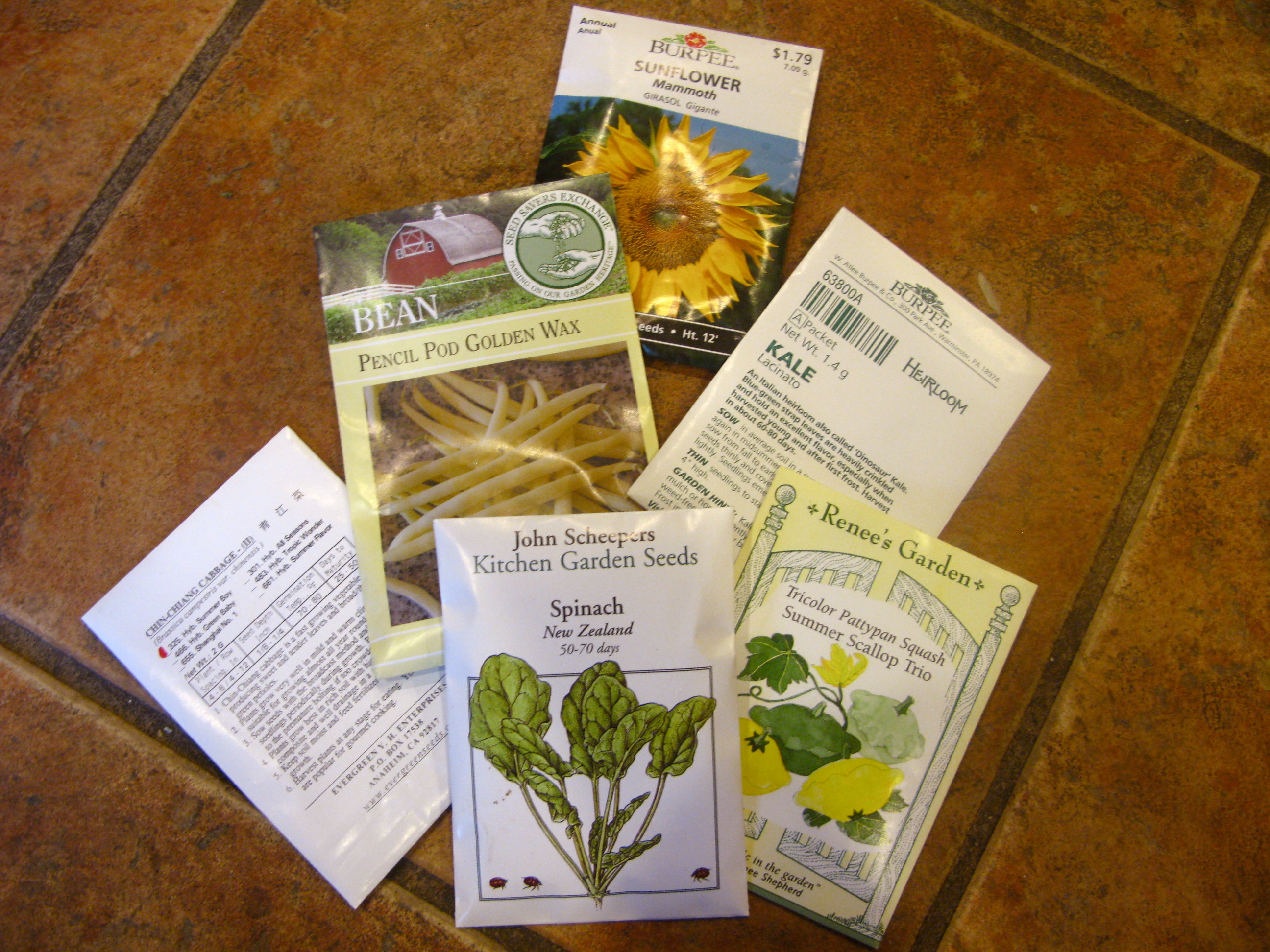 How to Read a Seed Packet